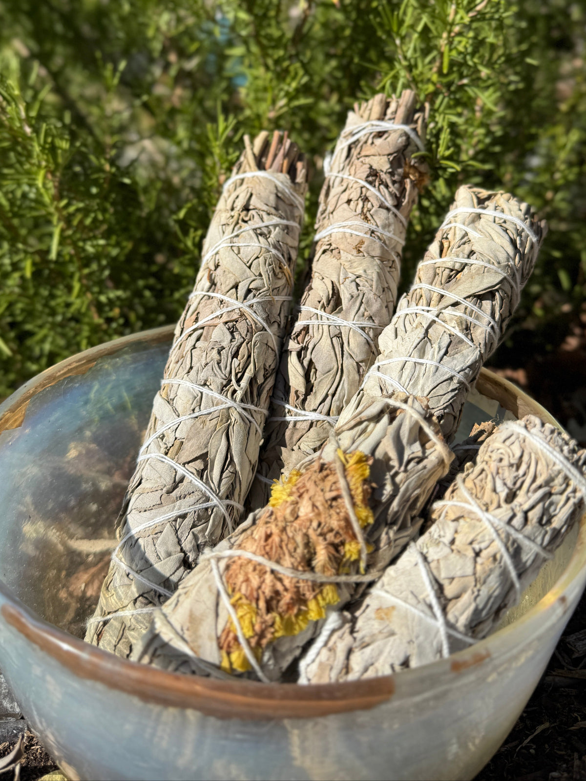 White Sage Smudge Bundle